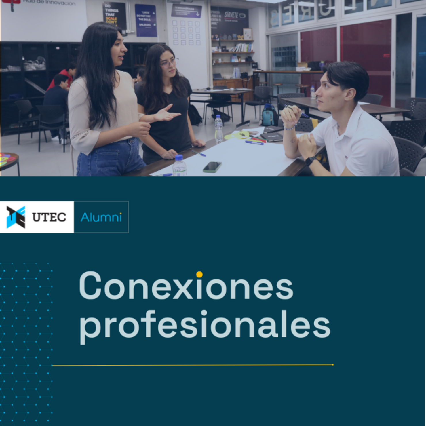 CONEXIONES PROFESIONALES