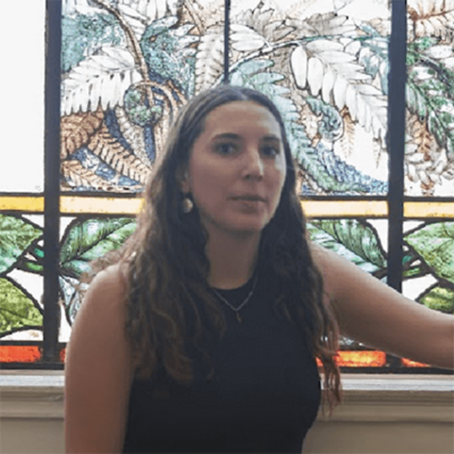 Carolina Meza Abogada y Licenciada en Ciencias Jurídicas y Sociales UAH 2014