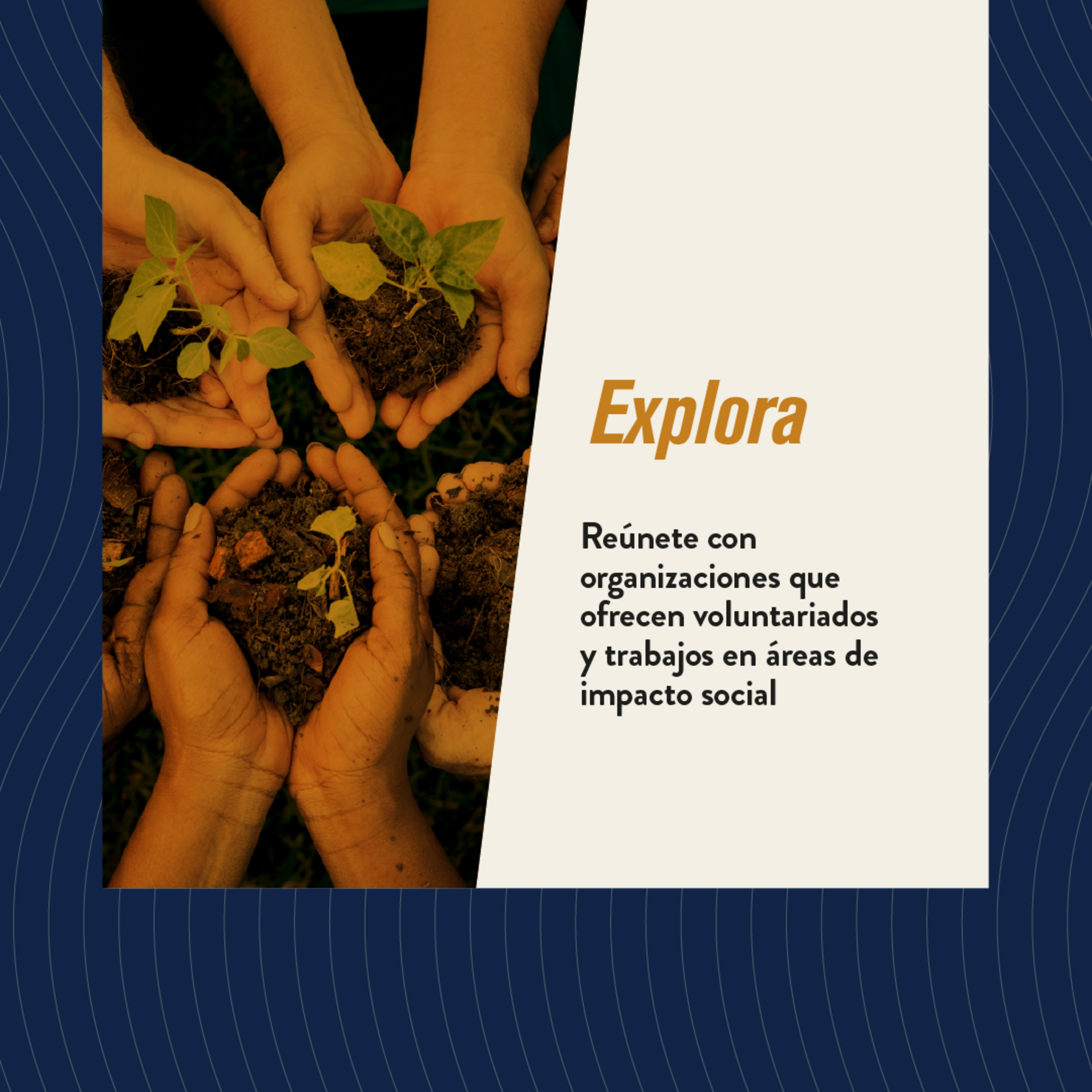 Agentes de Cambio en Educación, Programas de voluntariado con Formando Chile