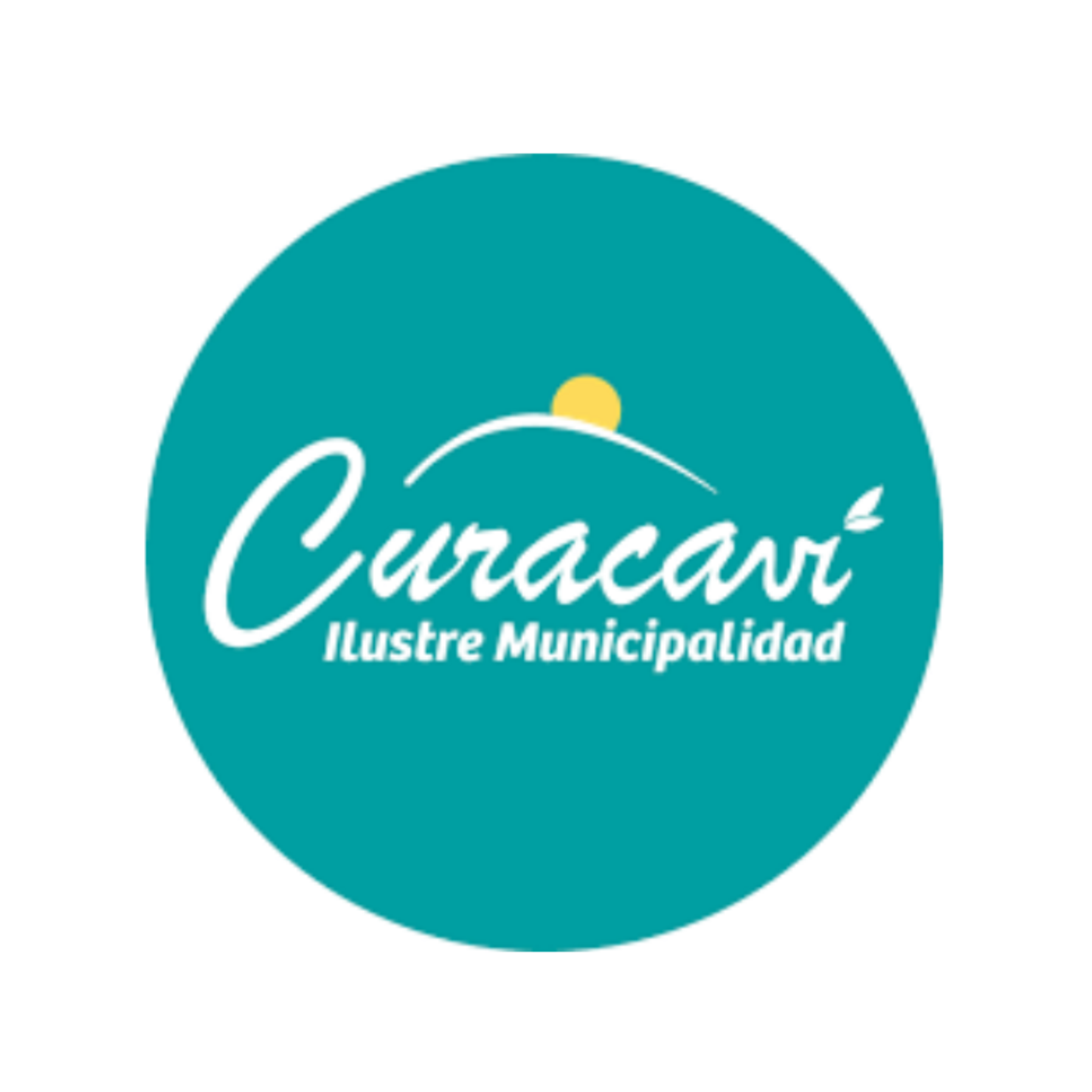 Práctica en Ilustre Municipalidad de Curacaví