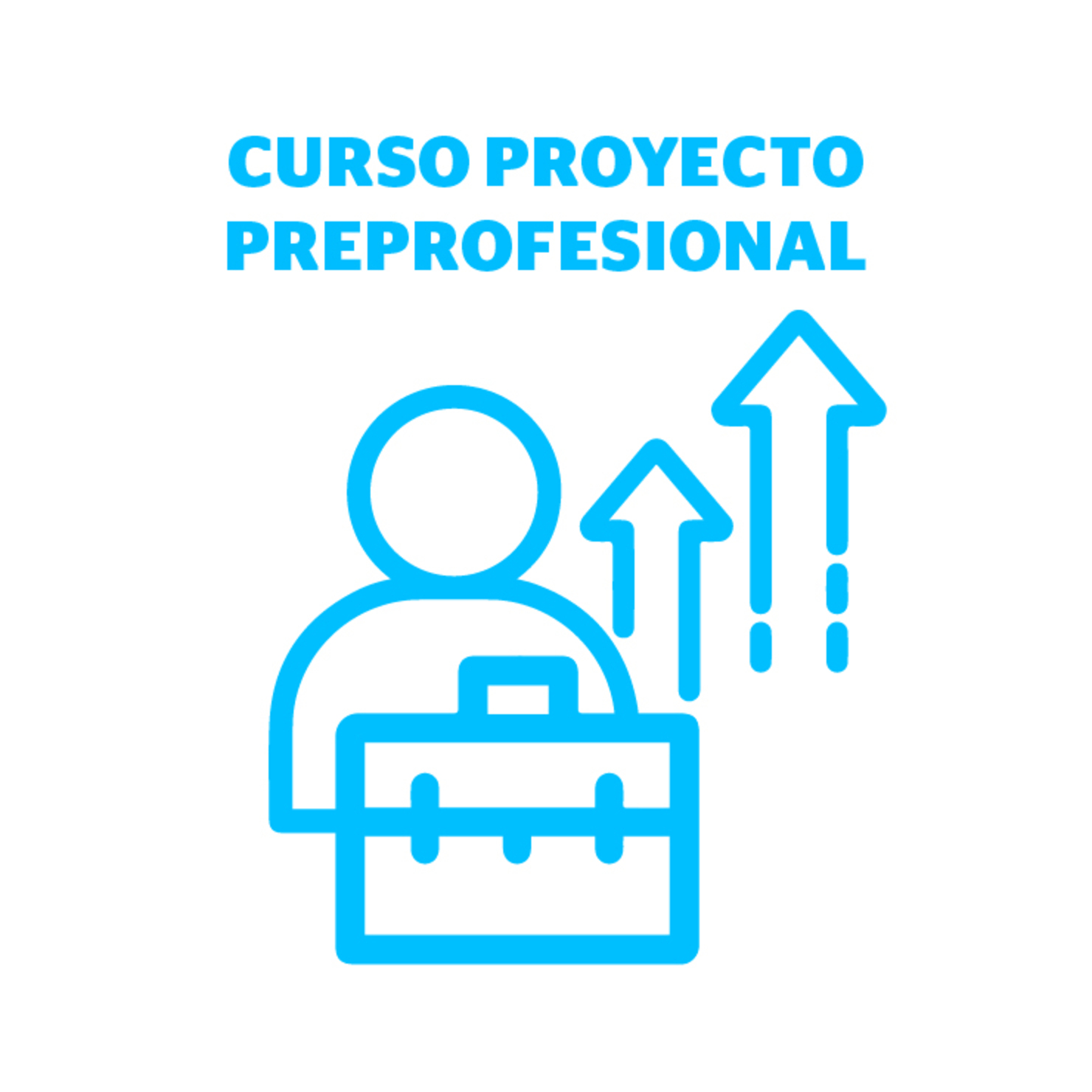 Curso Proyecto Preprofesional (RLE)