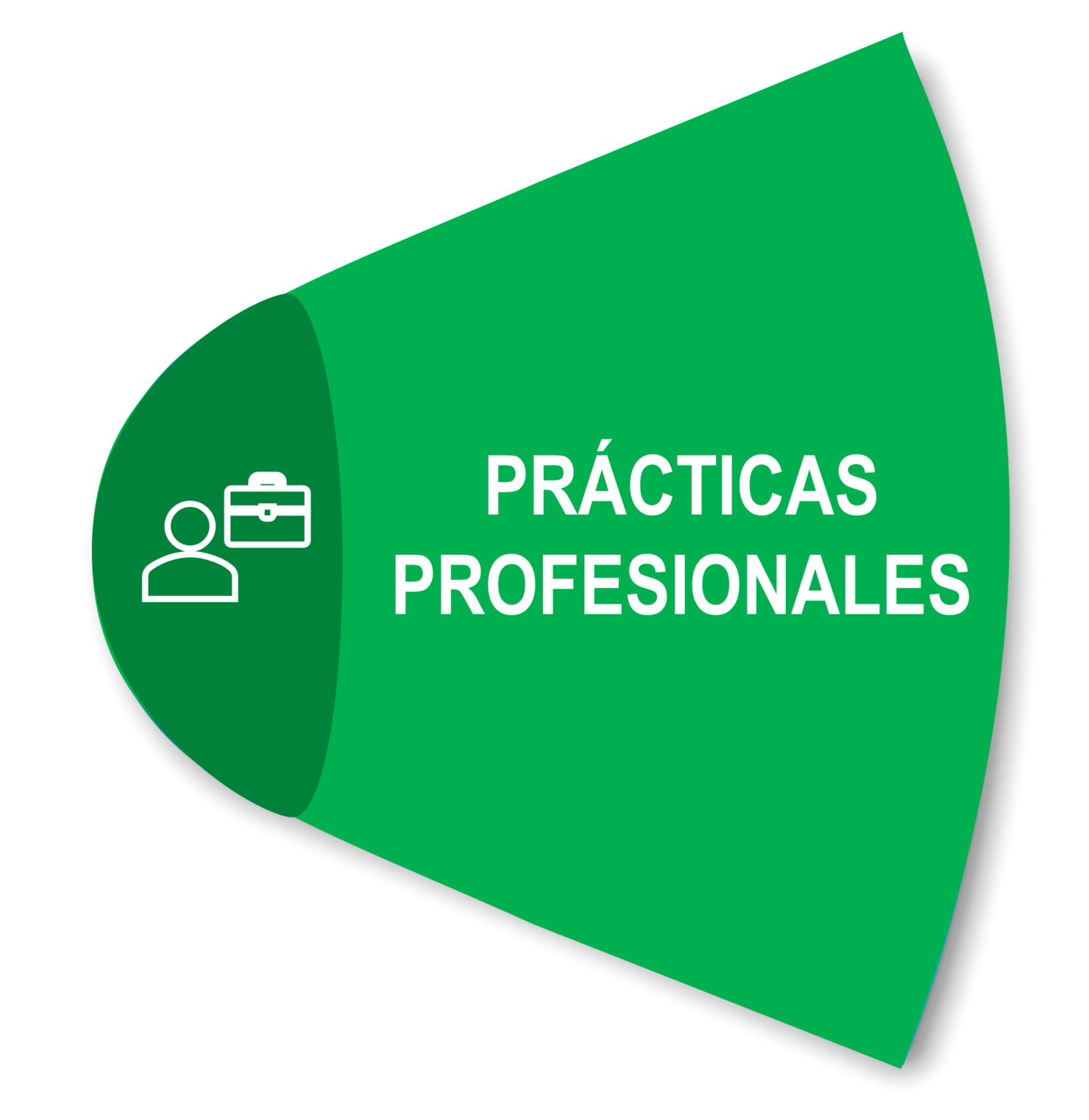 PRÁCTICAS PROFESIONALES