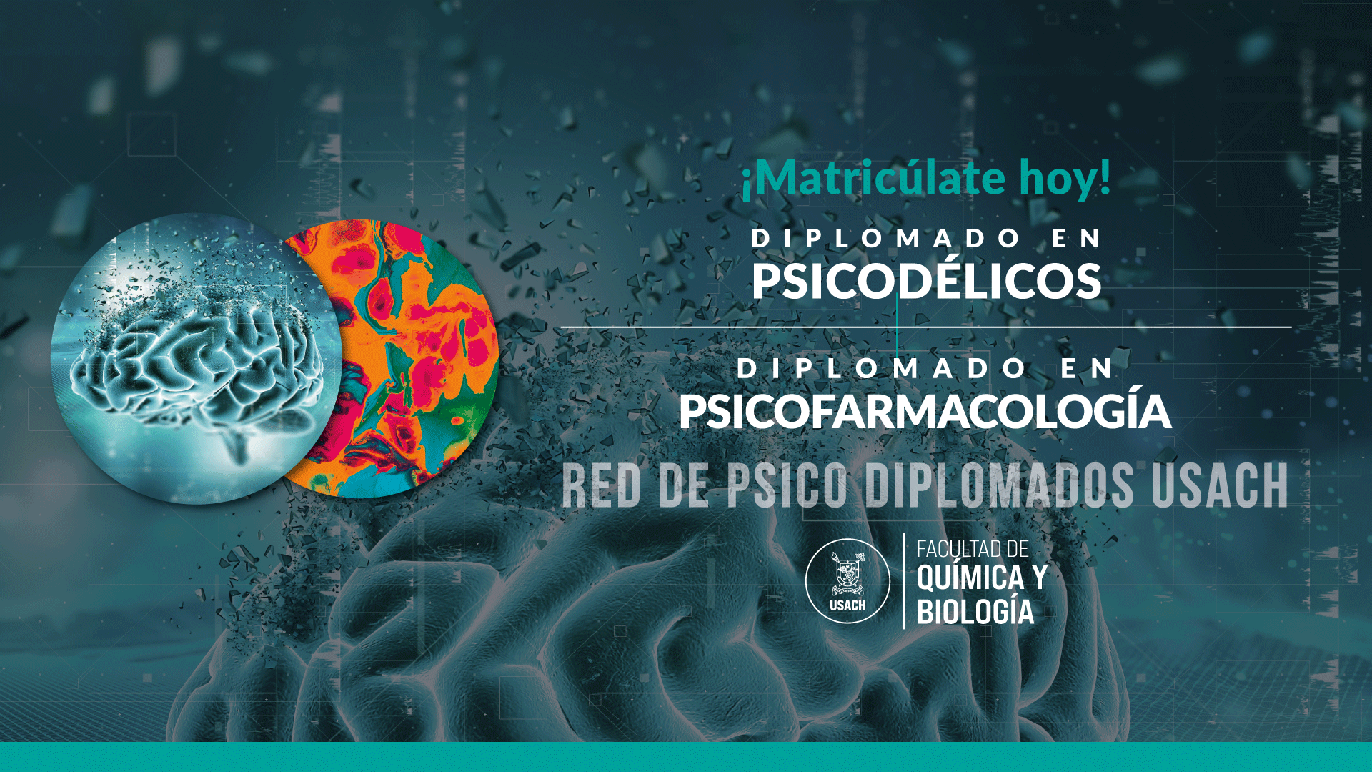 Estudio de los psicodélicos, una formación integral para un tema emergente y de alto impacto social