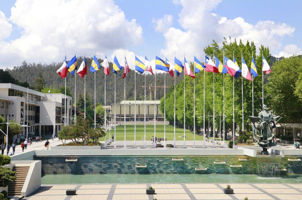 AlumniUdeC analizó sus resultados 2021 en torno a sus ejes estratégicos