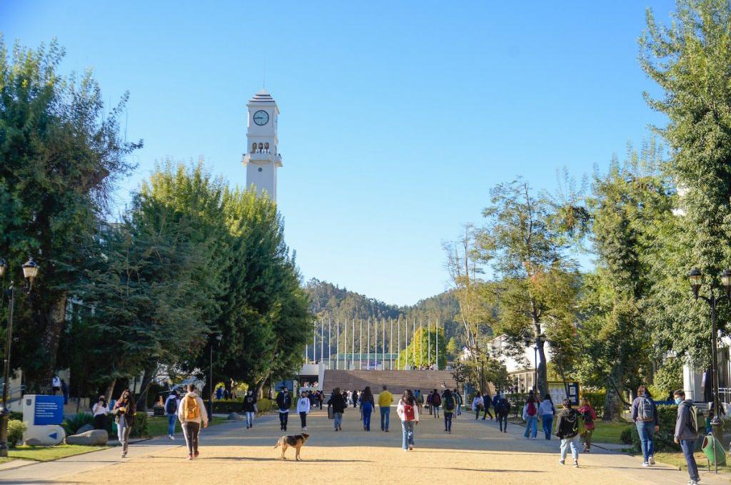 UdeC es una de las cuatro universidades chilenas que destaca en Ranking de Shanghai 2022