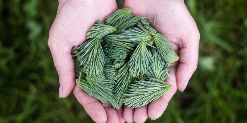 Guía práctica: Optimiza tu perfil de LinkedIn en 5 pasos