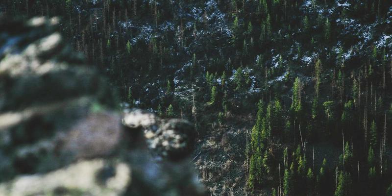 Red de Alumni Global: Conecta con egresados en más de 30 países