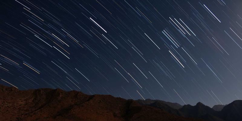 Resultados: Encuesta de empleabilidad 2025