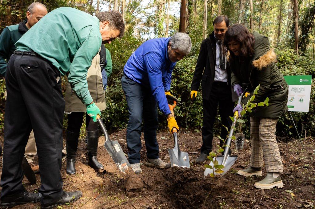 Universidad de Concepción lanza inédito proyecto de conservación Campus Naturaleza