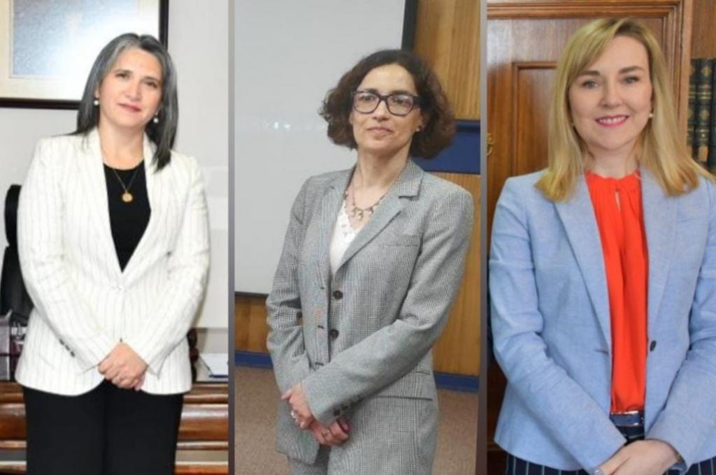 Abogadas y abogados UdeC destacaron en hitos asociados a justicia y género