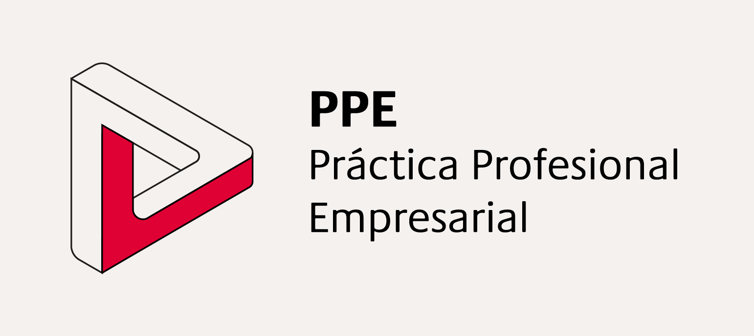 Práctica Profesional Empresarial