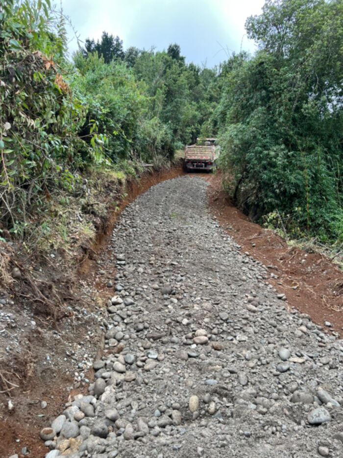 TRANSPORTE FYP SPA - Portfolio