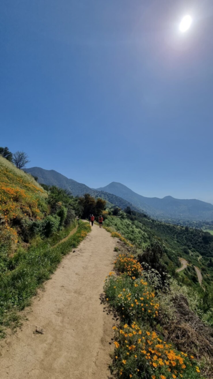 📌 Cerro el Carbón 🏔