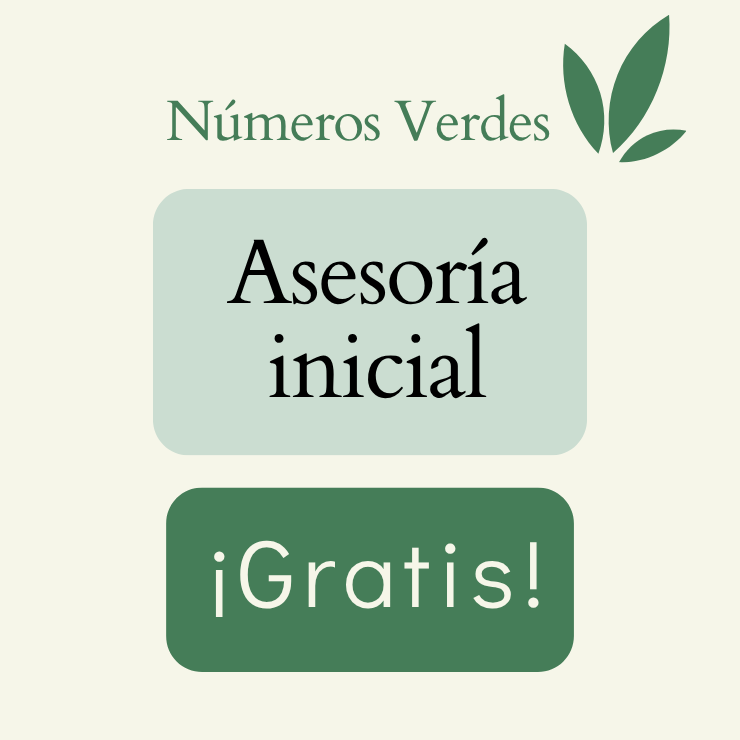 Diagnóstico y presupuesto