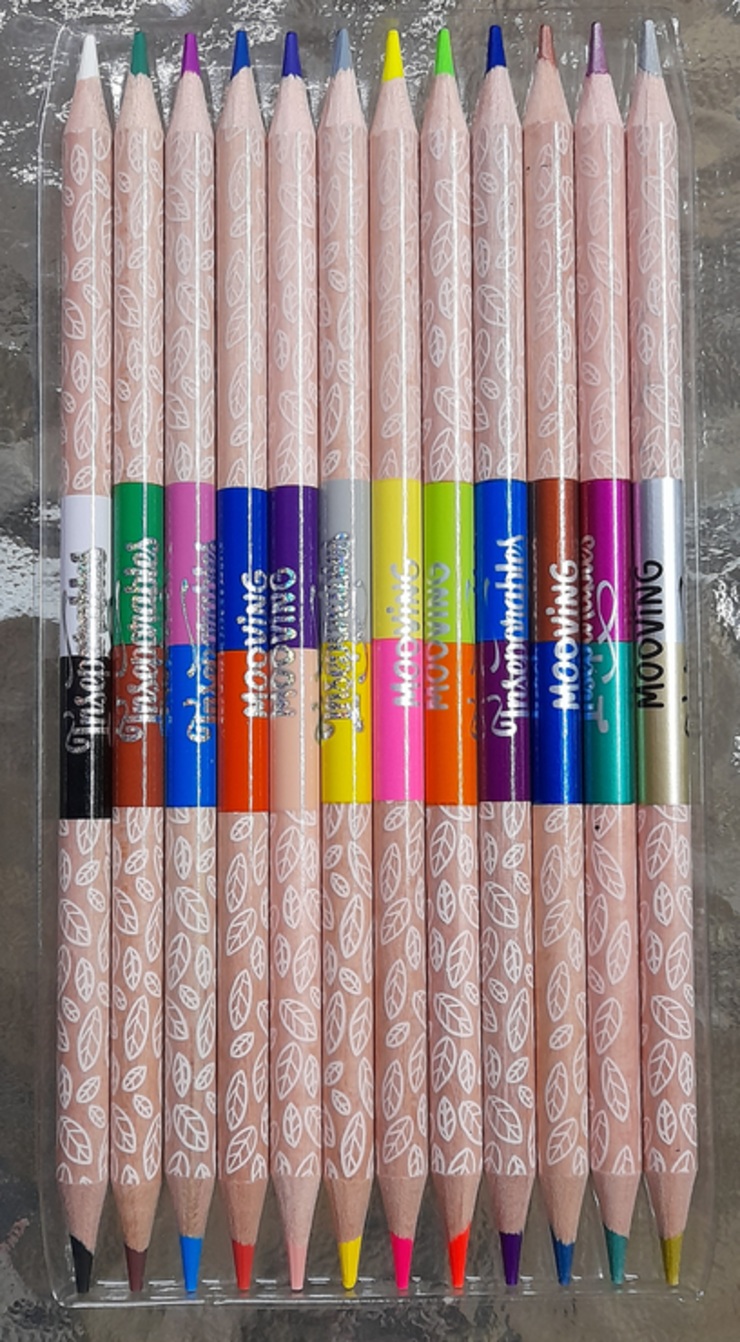 Estuche de 12 bi-colores