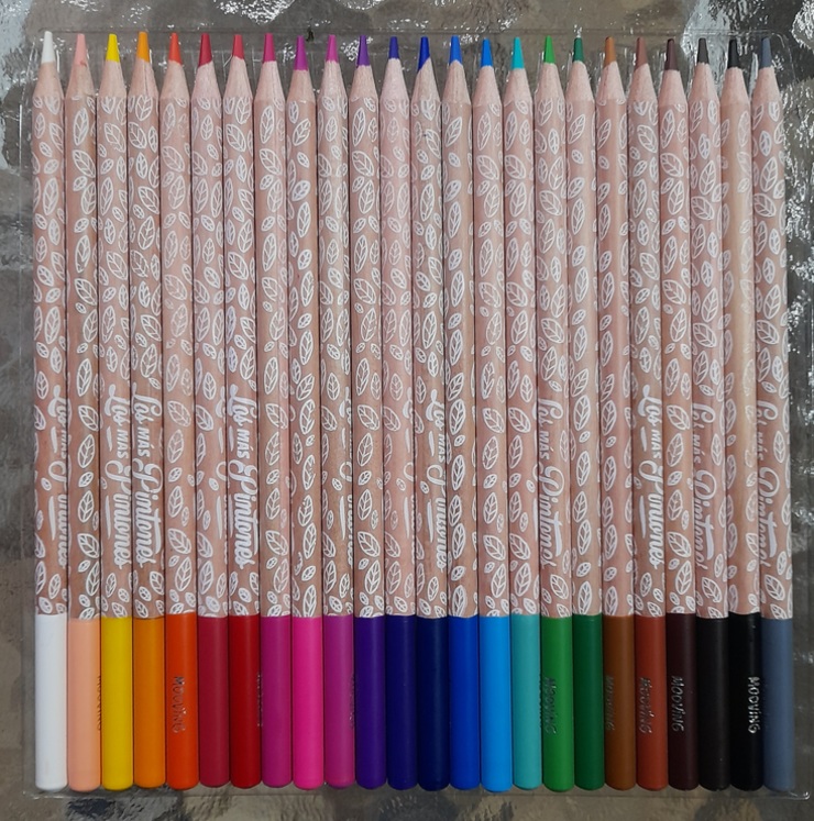 Estuche de 24 lápices de colores