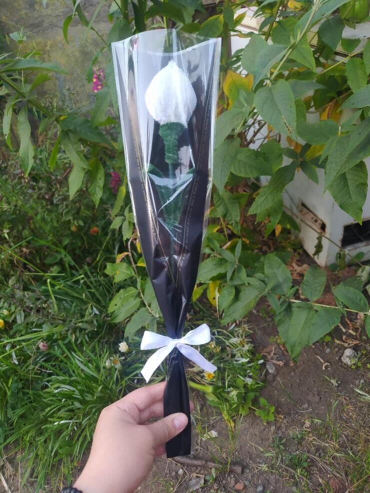 Tulipán eterno de limpiapipas talla M