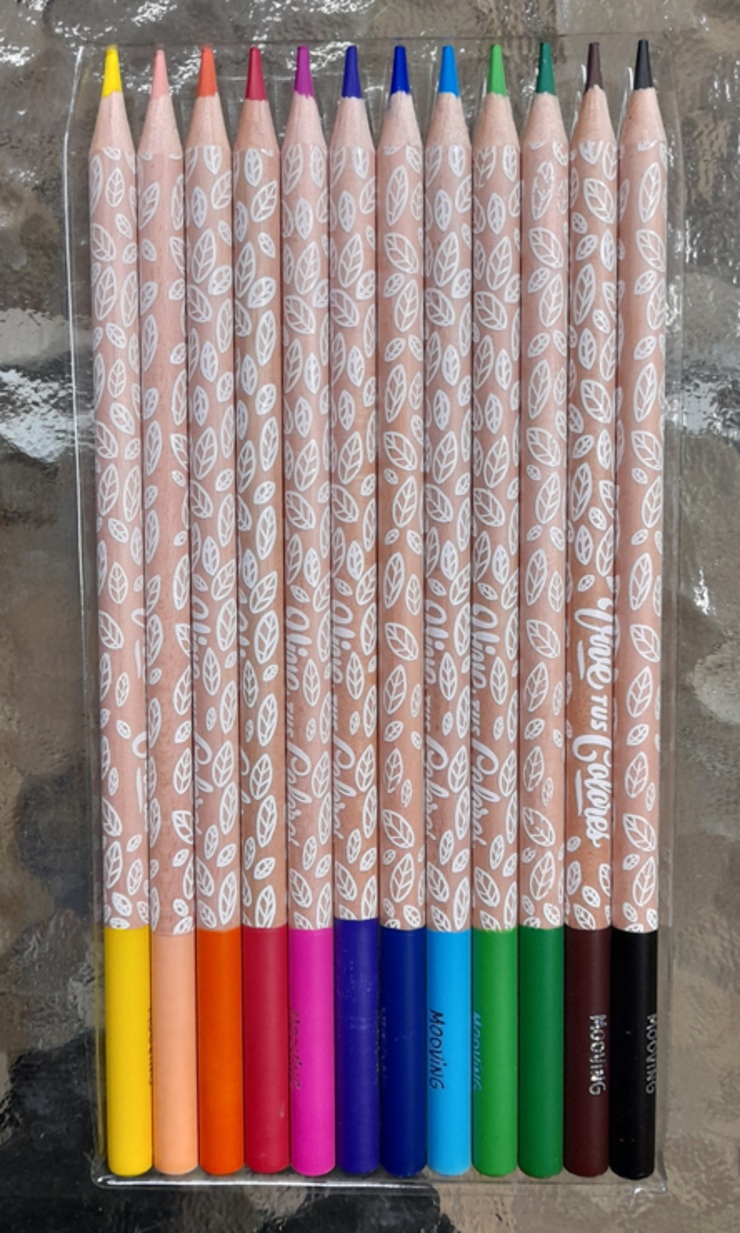 Estuche de 12 lápices de colores